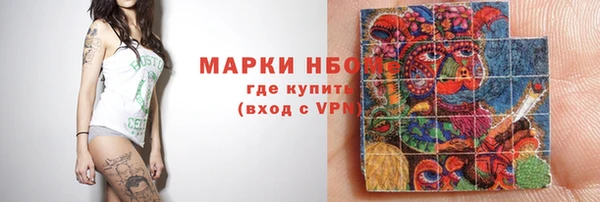 стаф Верея