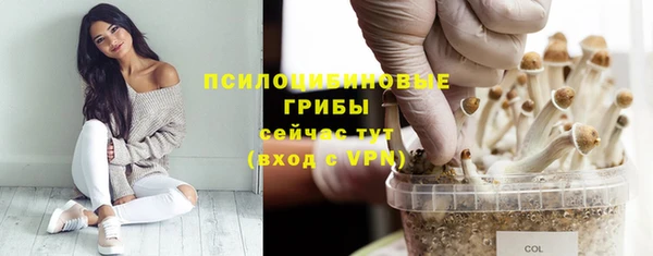 apvp Навашино