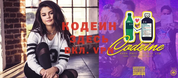 стаф Верея