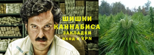 стаф Верея