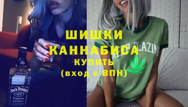 стаф Верея